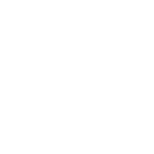 Algerian Professional Training Institute (APTI)